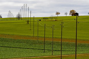 九游体育下载-球员体能负荷评估工具上线助力教练科学制定训练计划，体育负荷强度
